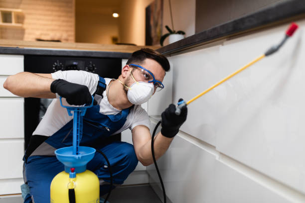 Best Emergency Pest Control  in St Ansgar, IA