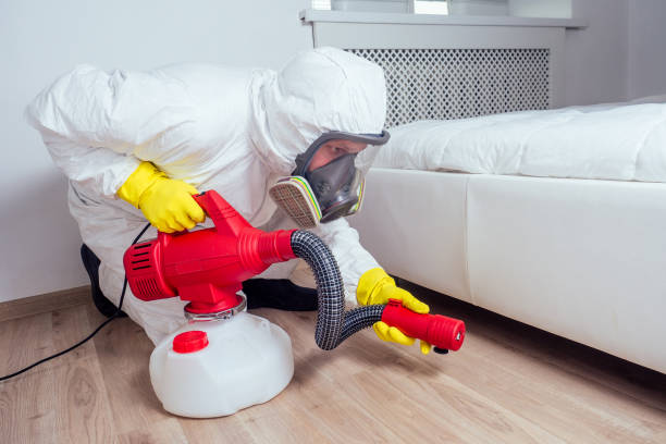 Best Pest Removal Services  in St Ansgar, IA