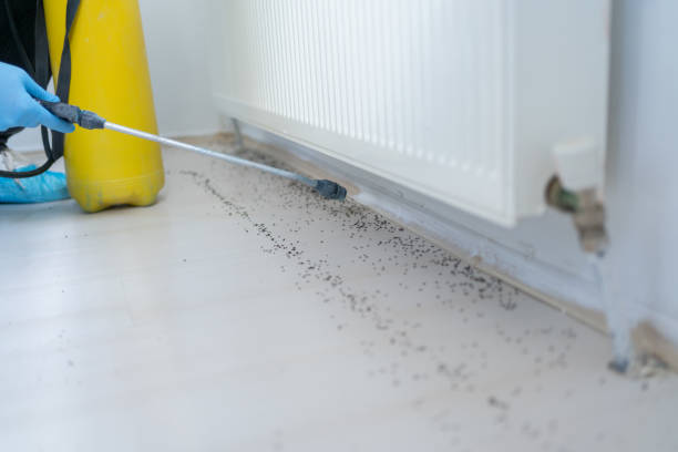 Professional Pest Control in St Ansgar, IA