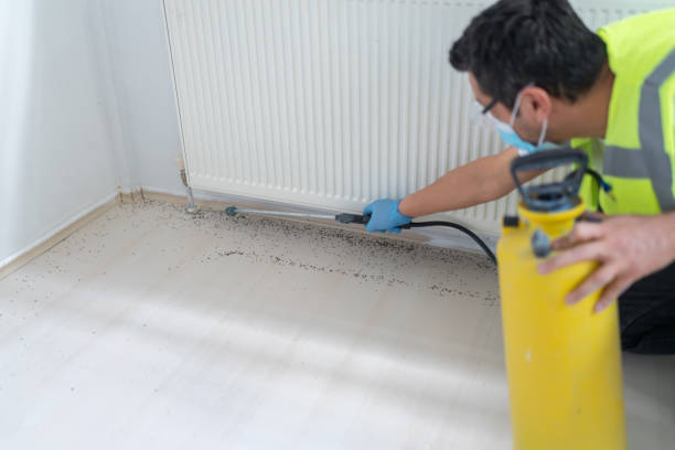 Best Ant Control Services  in St Ansgar, IA